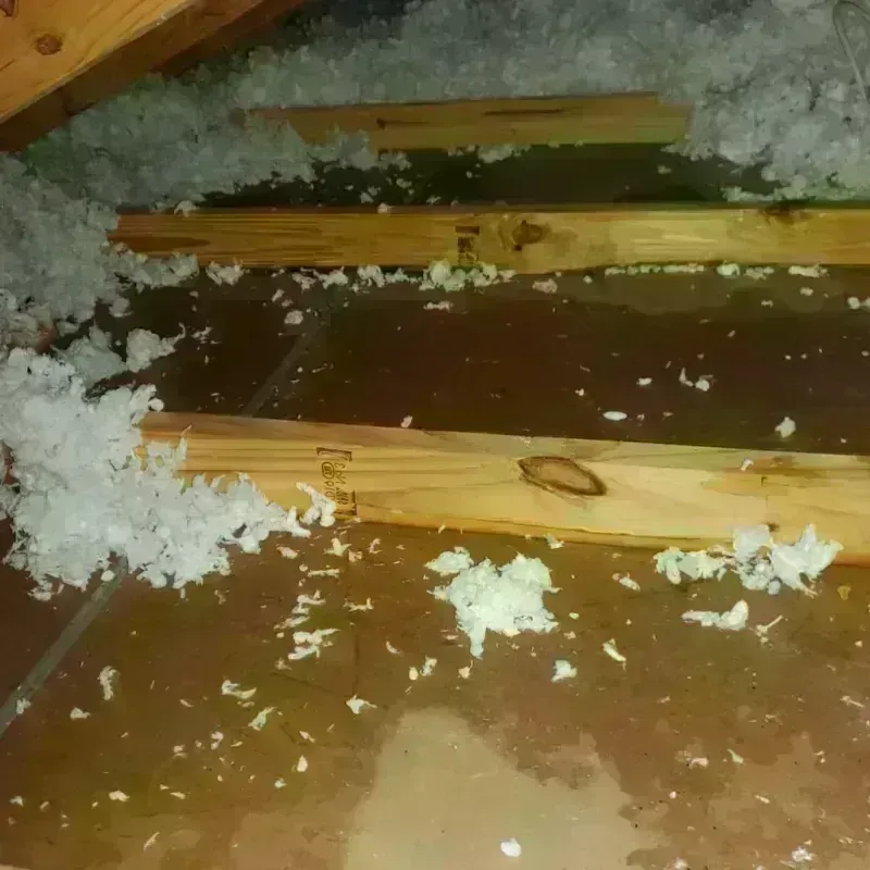 Attic Water Damage in Ludlow, KY